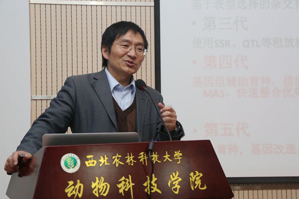 "新世纪百千万人才工程国家级首批入选者",西北工业大学王文教授作