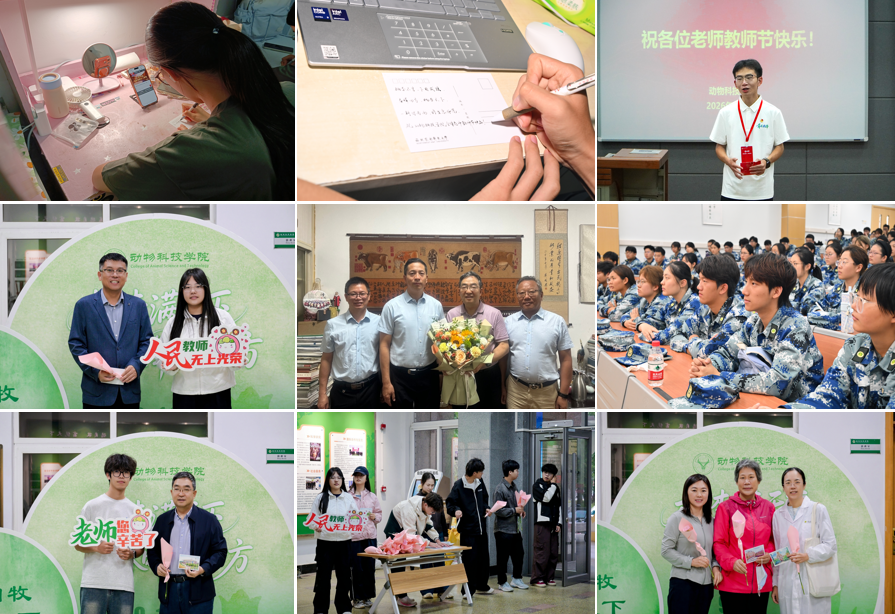 拼图.png
