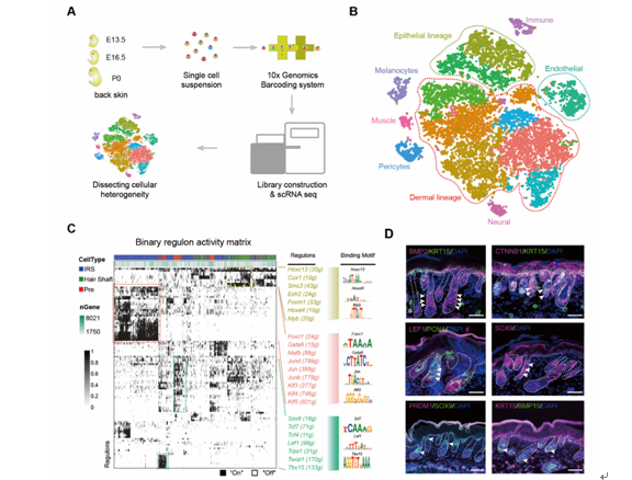 a169eb8746c3456fbc9433ef17720b59.png 成果一图片.png