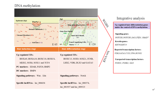 deab5fc93fd14b4e93761cc918381dac.png 成果二图片.png