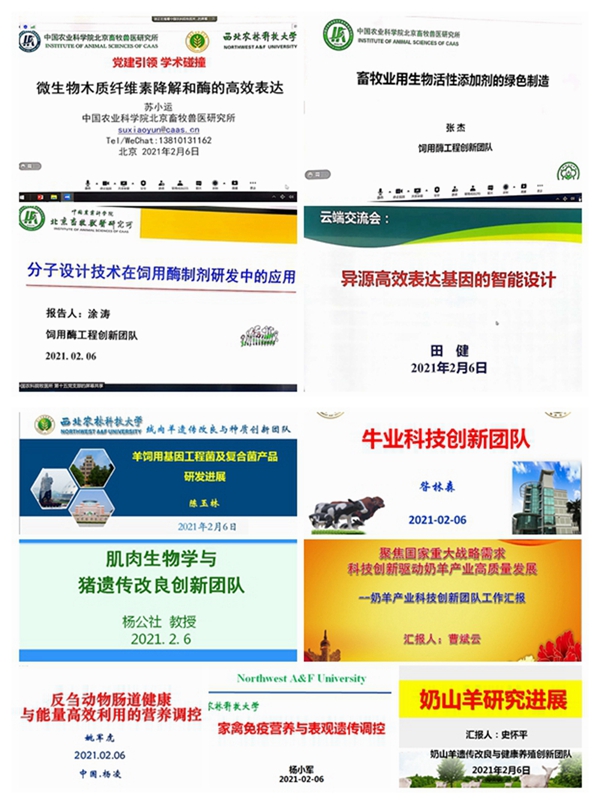 4619b6bbb7c34a06bdc57091e43bd829.jpg