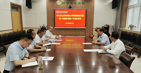 a371d4f069c24999b092bfa734d9ba90.jpg 2.jpg