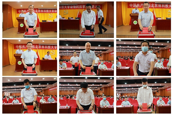 2cff67be8b5e4455b6d53ab918999399.jpg NeoImage_副本.jpg